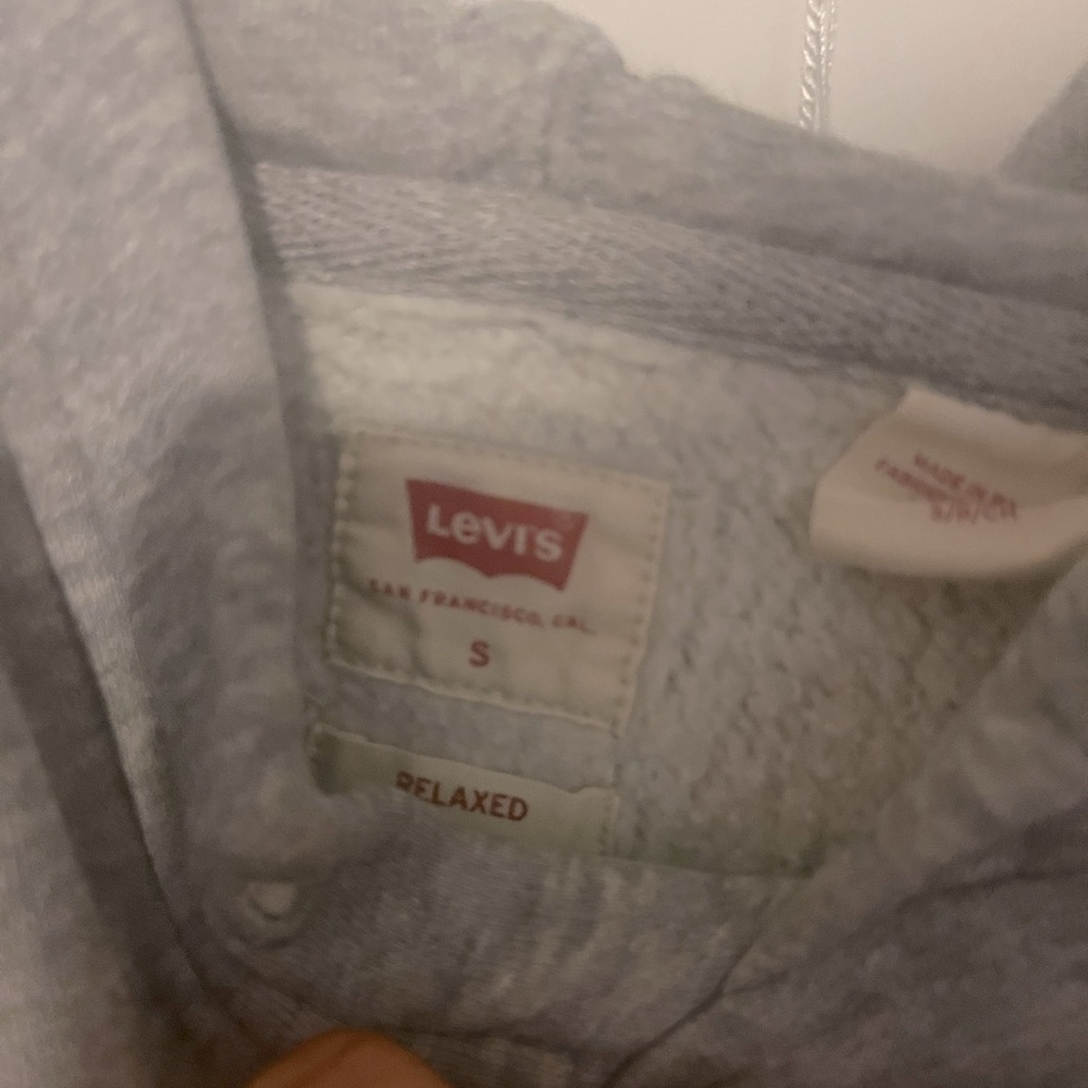 Levi’s Relaxed Graphic Hoodie